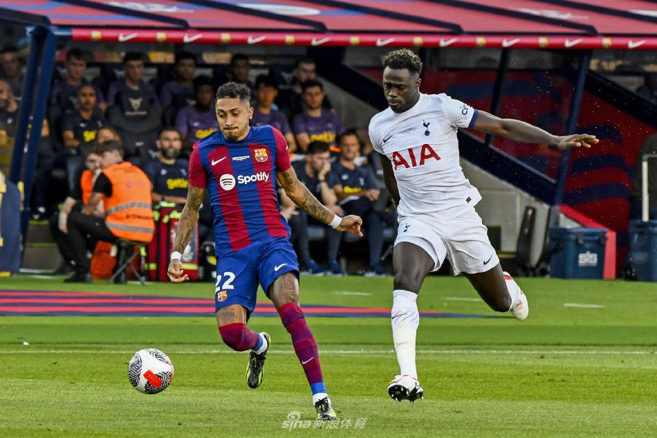 轻高尔夫球 轻高尔夫球